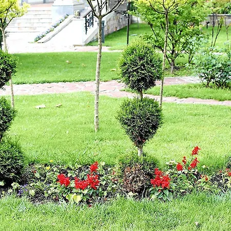 Helena Vip And Villa *